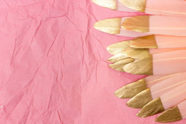 Pink and gold feathers on a pink background