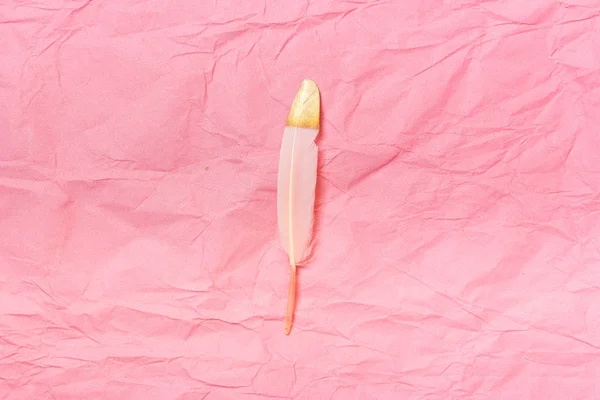 Pink and gold feathers on a pink background