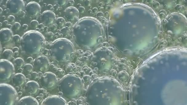 Abstracte Achtergrondvideo Van Water Bubbels Snel — Stockvideo
