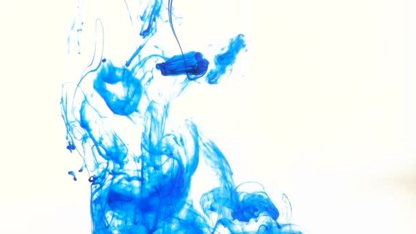 Inchiostro Blu Acqua Proprio Sul Bianco — Video Stock