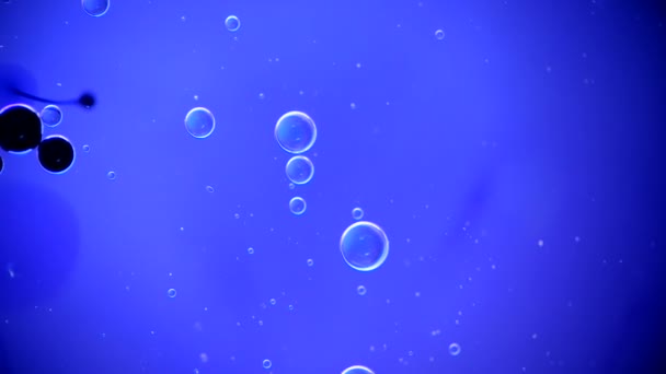 Темна Матерія Нафтові Бульбашки Воді Абстракція — стокове відео