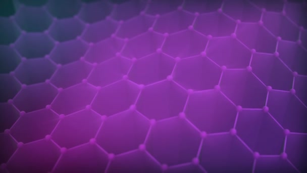 Hive Waves Background Purple — Stock Video