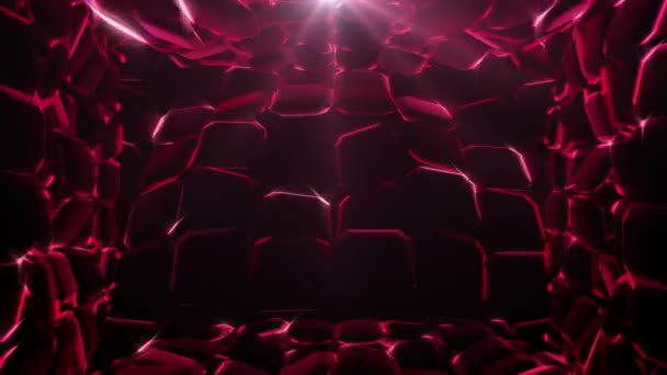 Ruby Waves Abstract Background — Stockvideo