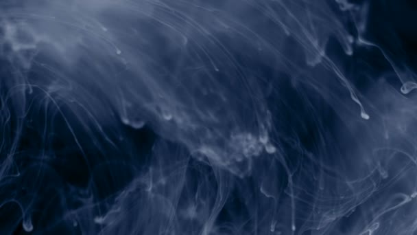 Cerneală Albă Particule Care Plutesc Încet — Videoclip de stoc