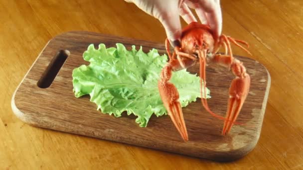 虾类龙虾在盘子里 — 图库视频影像