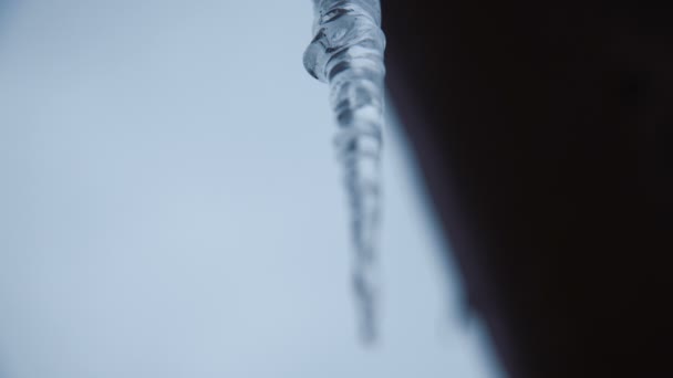 Long Sharp Icicle Hanging Roof — Stock Video
