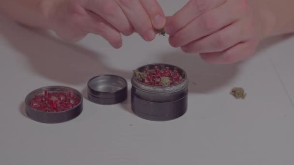 Man Die Medische Marihuana Joint Rollen Witte Tafel Grinder Legalisatie — Stockvideo