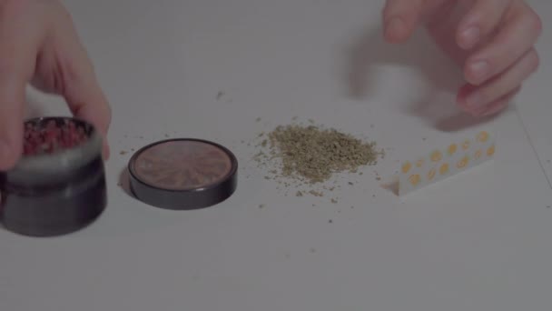 Człowiek Toczenia Wspólnego Marihuany Biały Stół Szlifierka Legalizacja Całego Świata — Wideo stockowe