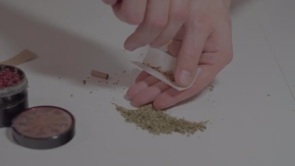 Hombre Rodando Marihuana Medicinal Mesa Blanca Grinder Legalización Todo Mundo — Vídeos de Stock