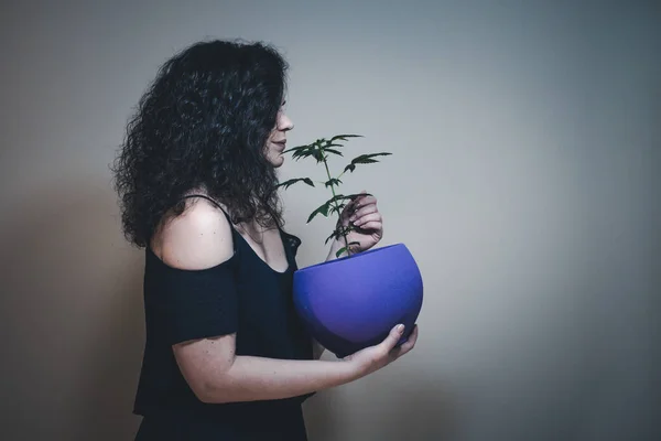 Tıbbi Esrar Kadınla Bitki Kapalı Büyüyen Esrar — Stok fotoğraf