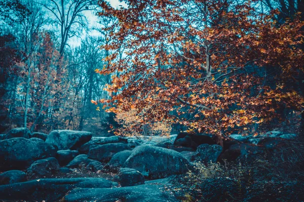 Autumn Landscape National Park Sofiivka Uman Ukraine Most Beautiful Plases — Stock Photo, Image