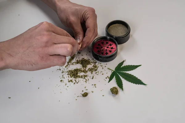 Homem Enrolar Marijuana Medicinal Com Papel Transparente Botões Maconha Erva — Fotografia de Stock