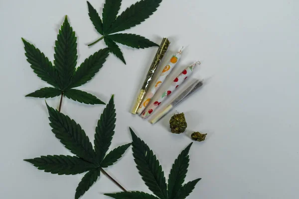 Ένωση Μαριχουάνα Διαφανές Χαρτί Ιατρική Μαριχουάνα Φύλλα Μπουμπούκια Από Κοινού — Φωτογραφία Αρχείου
