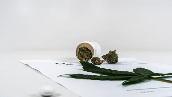 Folhas de maconha medicinal Close Up Cannabis Buds com médicos Pré — Fotografia de Stock