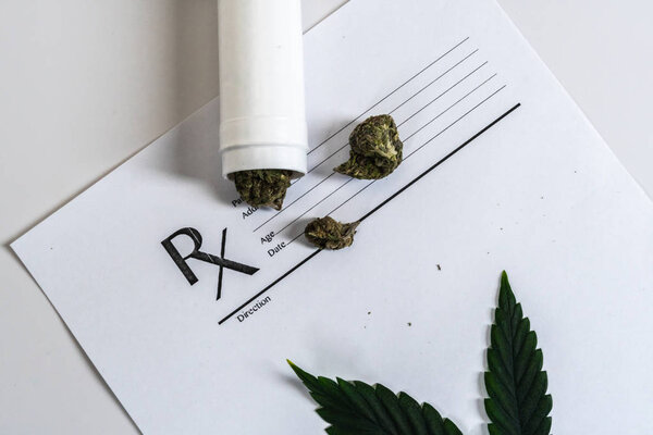 Медицинская марихуана покидает Крупный план. Конопля Почки с врачами Pr
