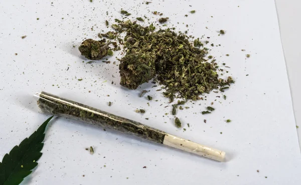Folhas de maconha medicinais e juntas Close Up. Buds Cannabis com — Fotografia de Stock