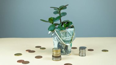 Kumbara ile tasarruf. İş büyüme için konsept bir