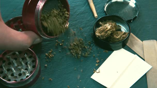 Χόρτο Μαριχουάνας Θηλυκό Χέρι Μύλος Και Μπουμπούκια Μαριχουάνας Στο Παρασκήνιο — Αρχείο Βίντεο