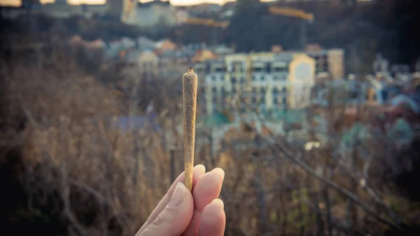 A pessoa segura maconha medicinal na mão . — Fotografia de Stock