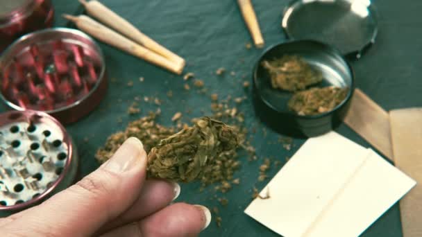 Medizinisches Marihuana Der Weiblichen Hand Marihuana Knospen Schleifer Und Joint — Stockvideo