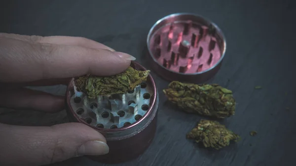 La persona tiene brotes de marihuana medicinal y molinillo en la mano . —  Fotos de Stock