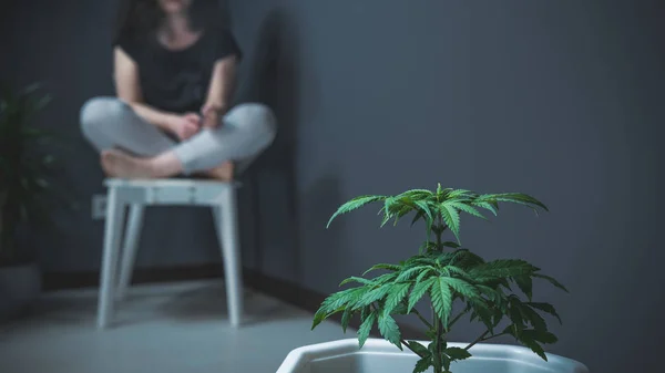 Die Person, die medizinischen Marihuana-Joint raucht. Cannabispflanze auf dem — Stockfoto