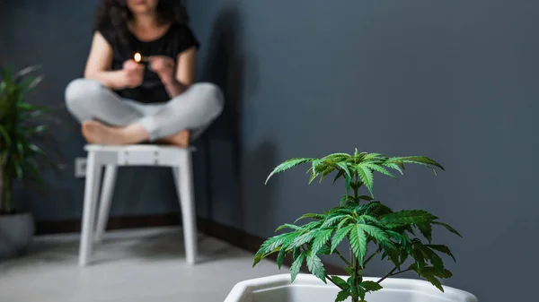 Die Person, die medizinischen Marihuana-Joint raucht. Cannabispflanze auf dem — Stockfoto