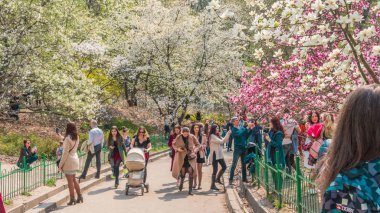 23.04.2019 - Kiev, Ukrayna. Botanik Bahçesi th merkezinde