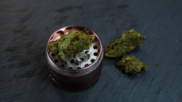 Marijuana knopp låg på Grinder. Örtmedicin. — Stockfoto