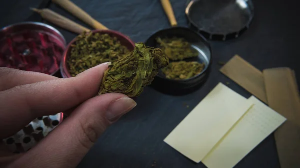 Marihuana-Unkraut in der Hand der Frauen. Marihuana-Knospen in der Mühle — Stockfoto