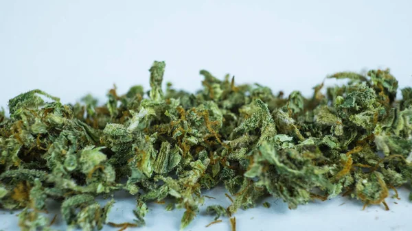 Μαριχουάνα χόρτο κοντινό-up σε λευκό φόντο — Φωτογραφία Αρχείου