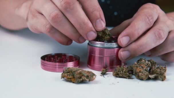 Macinatore Con Germogli Marijuana Medica Nella Mano Maschile Cannabis Concetto — Video Stock