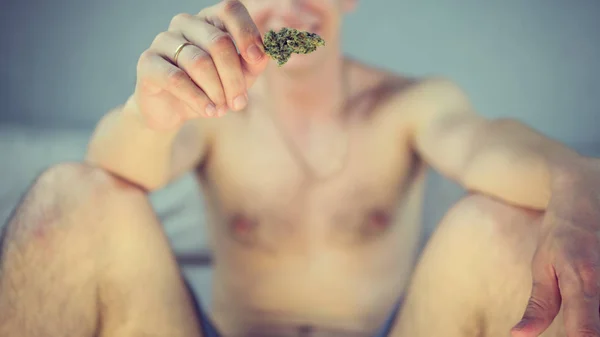 Der junge Mensch hält medizinische Marihuana-Knospen in der Hand. — Stockfoto