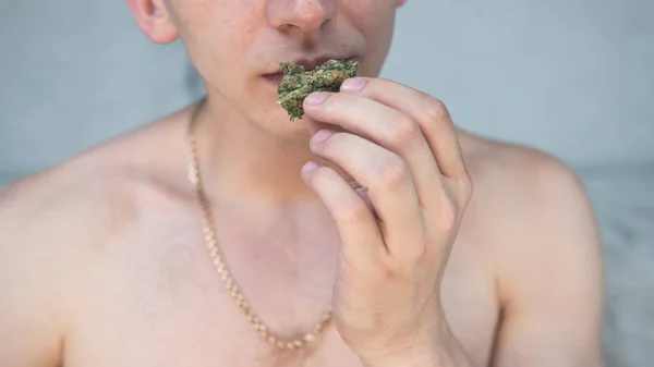El joven tiene brotes de marihuana medicinal en la mano. . — Foto de Stock