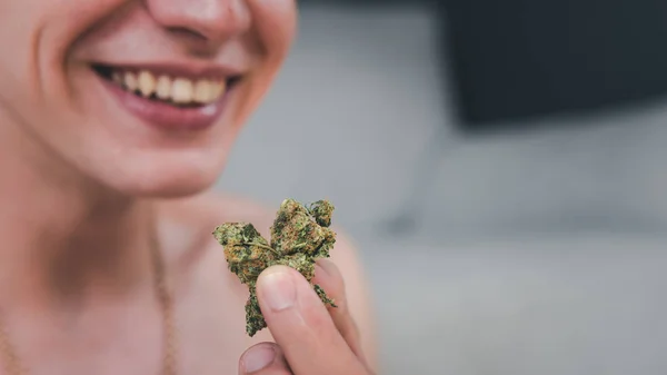 O jovem está segurando botões de maconha medicinal em sua mão . — Fotografia de Stock