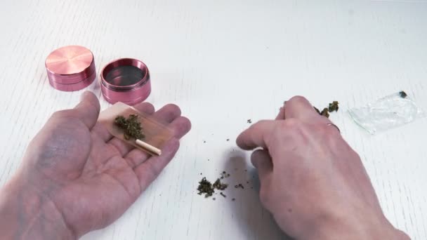 Preparando Rolando Articulação Com Cannabis Medicinal Pessoa Que Anda Enrolar — Vídeo de Stock