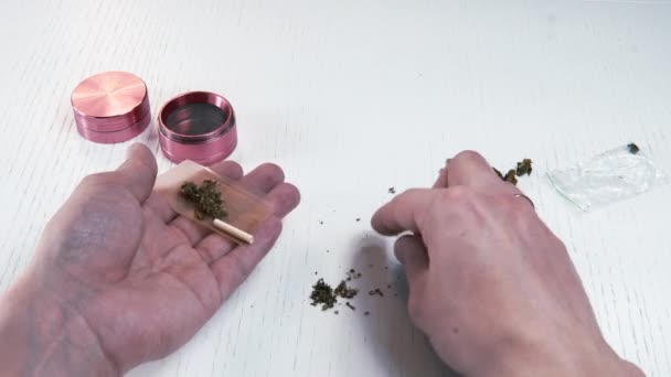 Příprava Válcování Lékařskou Marihutou Osoba Která Valit Blízkosti Marihuany Cannabis — Stock video