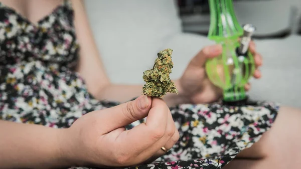 El joven sostiene en su mano cogollos de marihuana medicinal y bon —  Fotos de Stock