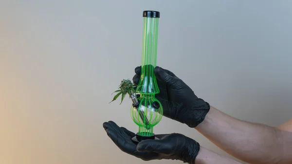 Kişi taze tıbbi marihuana bu ile elinde bong tutun