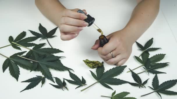 Olio Cannabis Nella Mano Femminile Germoglio Marijuana Foglie Sono Sul — Video Stock