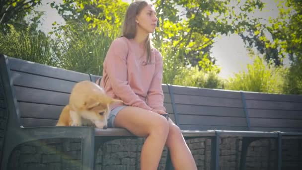 Mladá Žena Sedí Lavičce Parku Malým Psem Štěňátko Corgi Sedí — Stock video