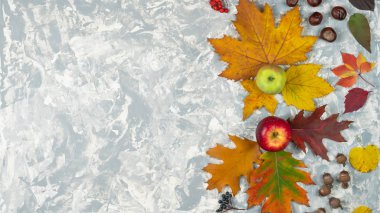 Sonbahar yapraklarından, meşe palamudundan, göğüsten oluşan düz sonbahar kompozisyonu