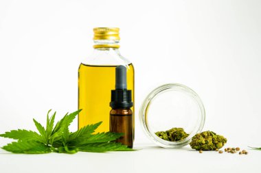 İçinde CBD gerekli yağ bulunan cam şişeler, tıbbi marihuana yaprakları, tomurcuklar ve tohumlar beyaz arka planda, yakın plan. Alternatif ya da bitkisel ilaç, kozmetik CBD yağı kavramları.