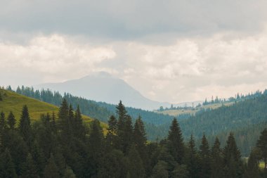 Değişik hava koşulları, bulutlu gökyüzü, akşam vakti inanılmaz dağ manzarası. Bukovel Karpatları, Ukrayna. Doğal dış seyahat geçmişi.