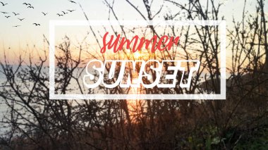 Yaz günbatımı arka plan ve poster