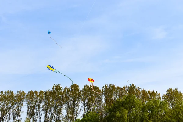 Kite Trees Sky Background — Stock Photo, Image