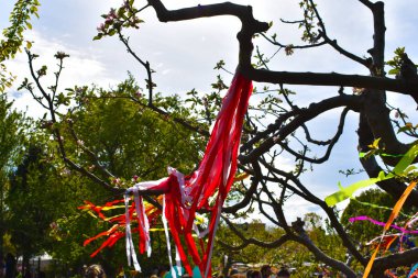 Bahar Zamanı, bahar ağacı, çiçek açan ağaç