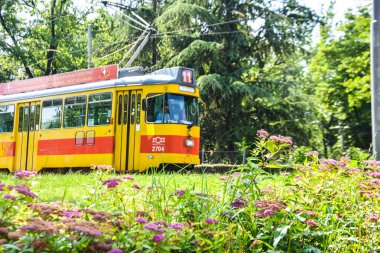parkta eski sarı tramvay. belgrad tramvay