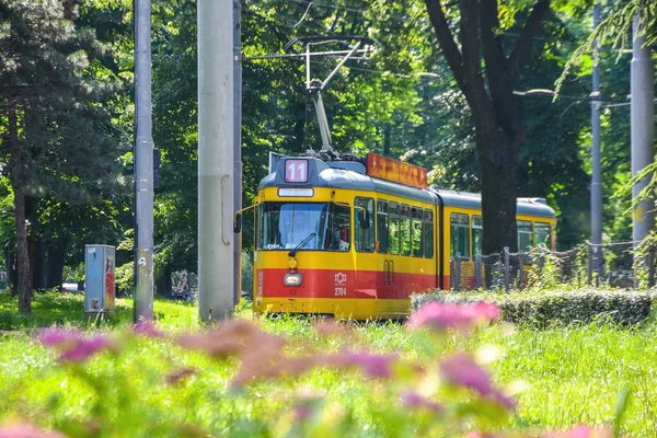 Stary Żółty Tramwaj Parku Belgrad Tramwaj — Zdjęcie stockowe