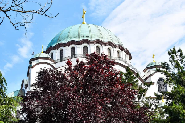 Belgrad Serbia Świątynia Świętego Sawy Hram Svetog — Zdjęcie stockowe